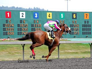 Cover the loss on one horse by greening up the others