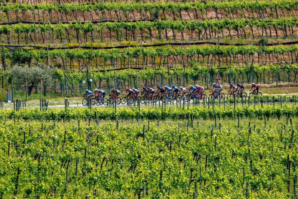 Peter Sagan tiene la etapa señalada en su mapa de ruta.