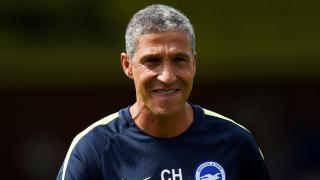 Brighton manager Chris Hughton.