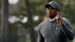 Tiger Woods has an excellent record in singles matches at the Ryder Cup