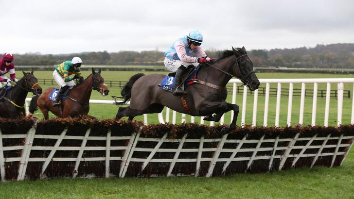 Jumps horse Hunter's Call