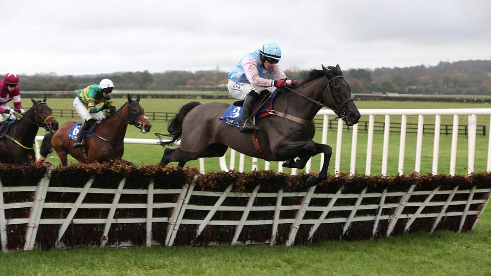 Jumps horse Hunter's Call