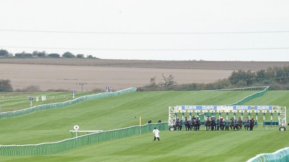 Newmarket