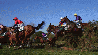 Grand National action