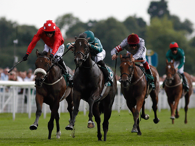 Ajaya, in green, is a value shot to beat odds-on Shalaa in the Middle Park Stakes