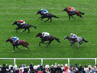 Can Best of Days or Baydar score a Royal Ascot win for Hugo?