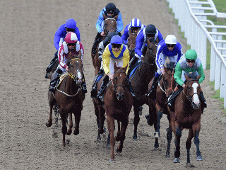 There is all-weather racing from Chelmsford on Thursday evening