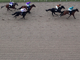 There is racing from Chelmsford on Thursday