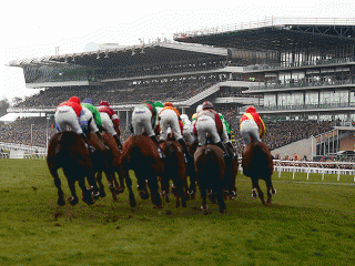 Little Jon and Sybarite both run at Cheltenham on Friday