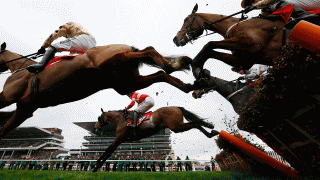 Cheltenham horses in action - Market Movers