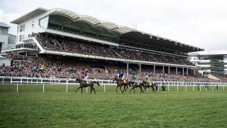 Cheltenham Festival