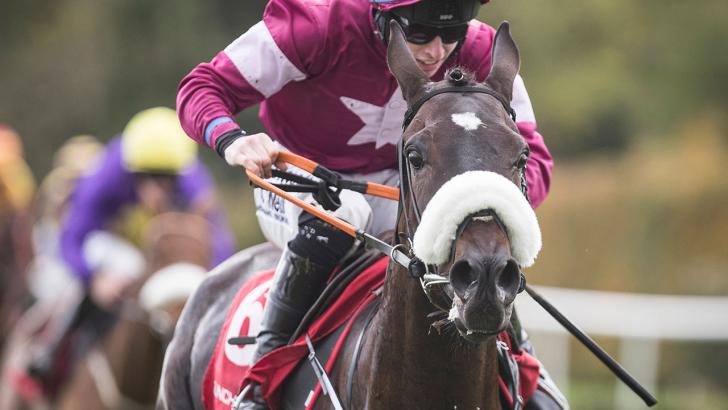 Cheltenham Race Finish