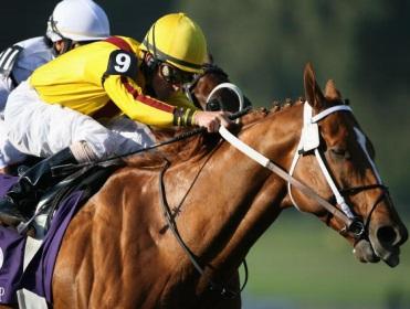 Timeform's US experts have three tips for Monday night