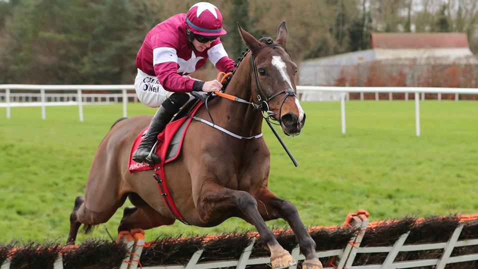 Horse jumping hurdle