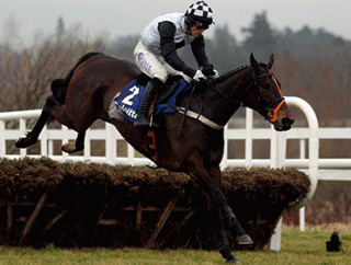 Dunguib's defeat proved expensive for many punters