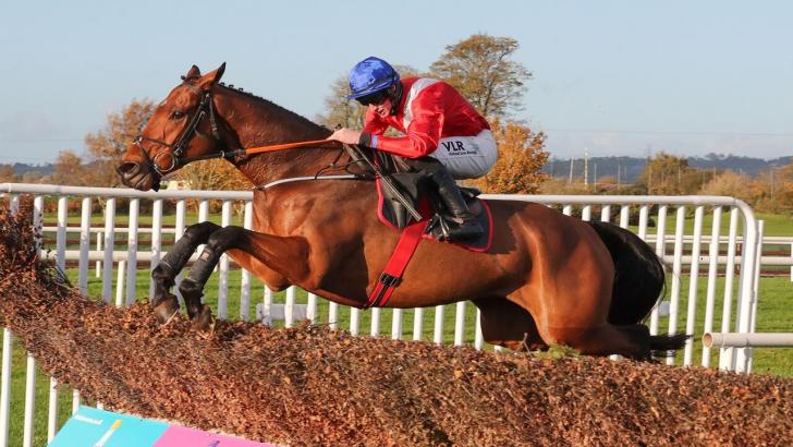 Envoi Allen - Gordon Elliott