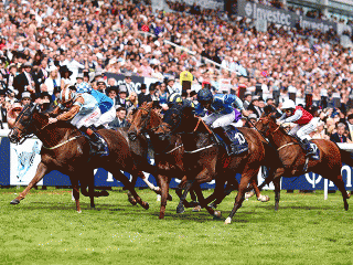 The Epsom Derby is just seven weeks away...