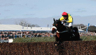 Will Fox Norton win the Sandown spectacle?