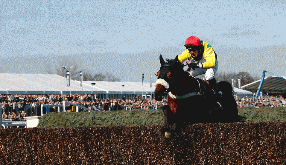 Will Fox Norton win the Sandown spectacle?