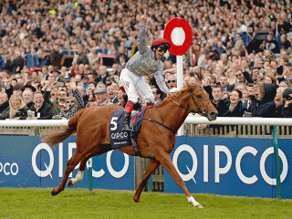 Galileo Gold was the big star of 2016 - who will shine in 2017?