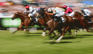 Horse racing action