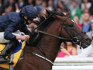 Intelligence Cross is Tony's idea of a value bet in the Middle Park Stakes