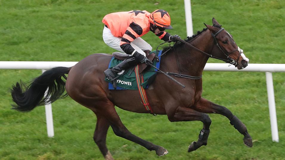 Horse running