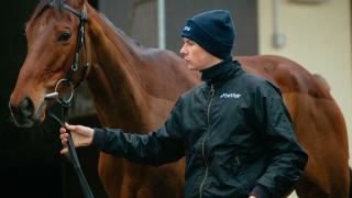 Joseph O'Brien