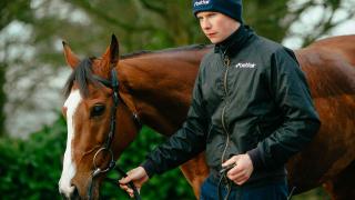 Joseph O'Brien