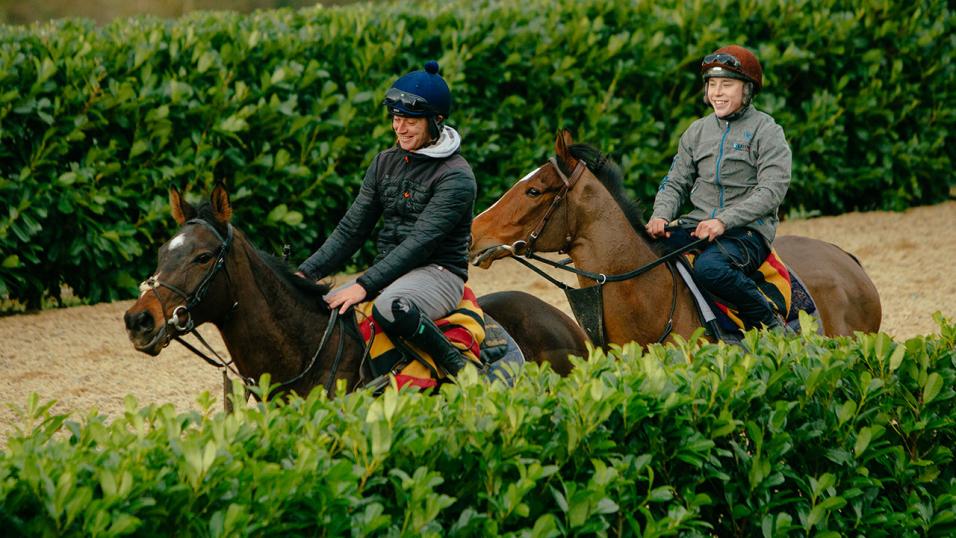 Joseph O'Brien's yard