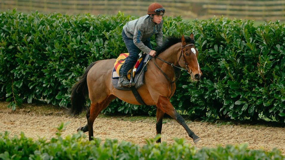 Betfair Ambassador Joseph O'Brien