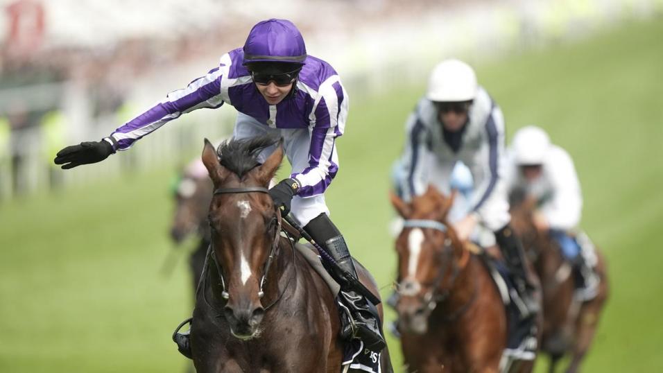 Joseph O'Brien Camelot