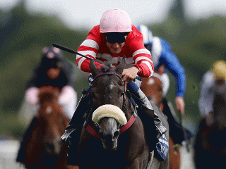 Mecca's Angel is Simon Rowlands' fancy in the British Champions Sprint