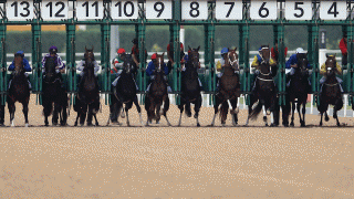 Meydan stalls
