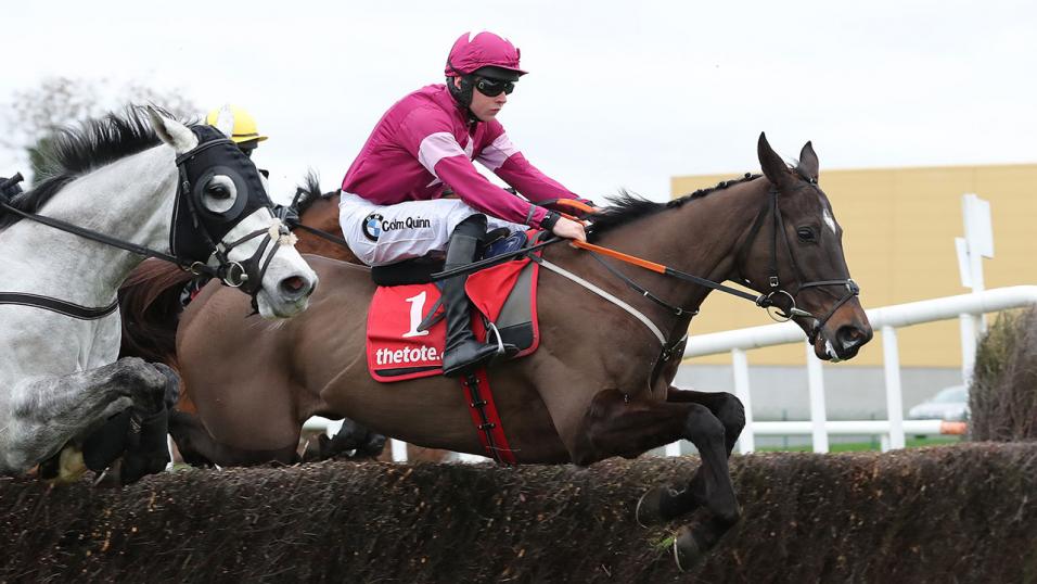 Horses jump fence