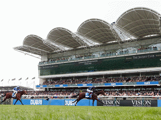 Hugo likes the look of his 25/1 chance in the 1,000 Guineas