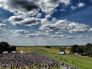 Tony has his eye on a 25/1 chance at Newmarket this weekend