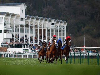There is Flat racing from Nottingham on Wednesday