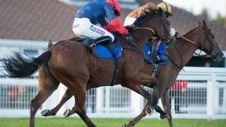 horse racing