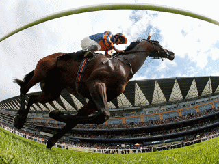 Order of St George is Tony's idea of Arc value