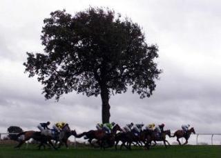 Plumpton is the venue for two of today's FTM selections
