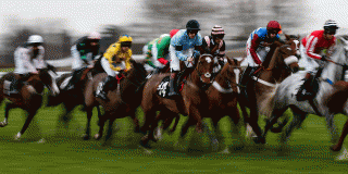 Horses running round the bend