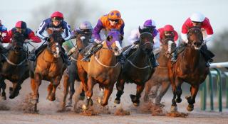 Southwell racecourse