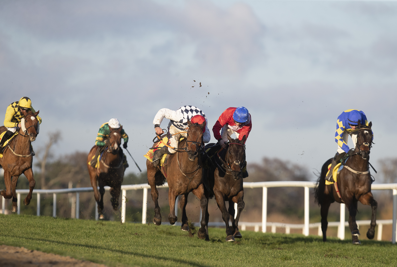 Cheltenham Gold Cup Tips Galvin And Gordo Gunning For Gold Cup Glory Real Madrid