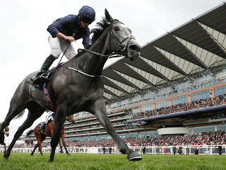 Will Winter win the Arc?