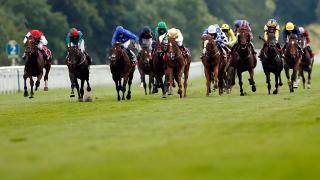 Horses Racing