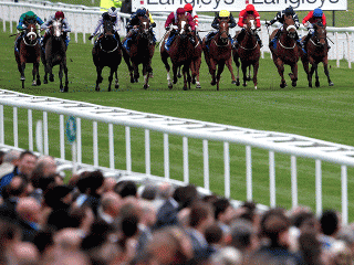 Two of Saturday's UK SmartPlays come from York