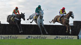 horse jumps