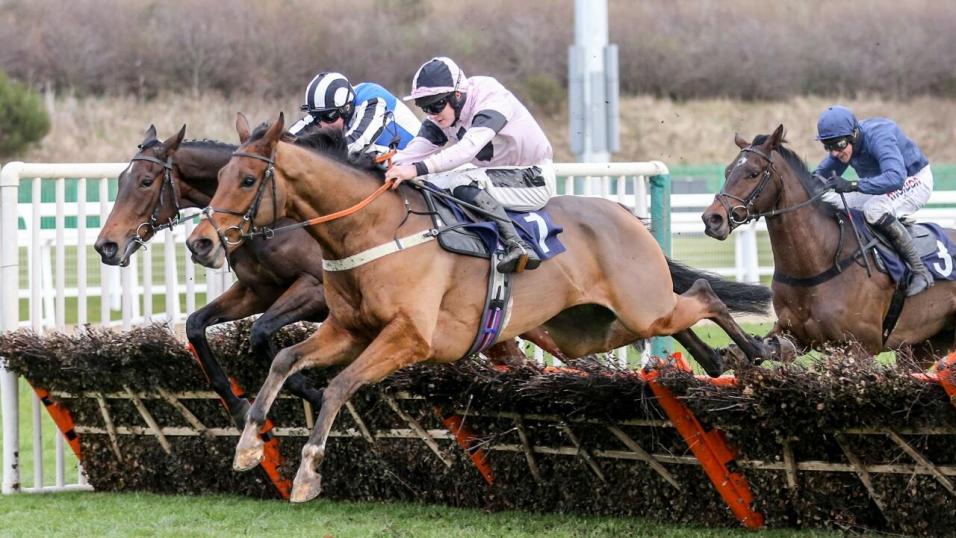 Summer jumping