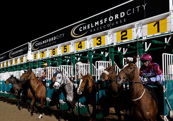 One of Alan Dudman's selections runs in Essex on Friday evening